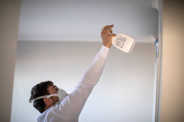 Best Localized Mold Remediation (e.g., coastal areas, humid climates) in League City, TX