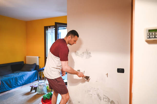 Best Health and Safety Mold Remediation in League City, TX